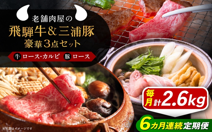 
                  【6回定期便】 牛肉 飛騨牛ロース1kg カルビ700g 三浦豚ロース900g 豪華3点セット 各種類1パック しゃぶしゃぶ・焼肉 / 飛騨牛 三浦豚 ロース カルビ セット 和牛 国産 霜降り 肉 A5ランク 高級肉 ブランド牛 ブランド和牛 肉 牛肉 冷凍 焼き肉 バーベキュー BBQ お取り寄せ 贈答 ギフト 岐阜県 /恵那市/岩島屋 [AUAJ031]
                