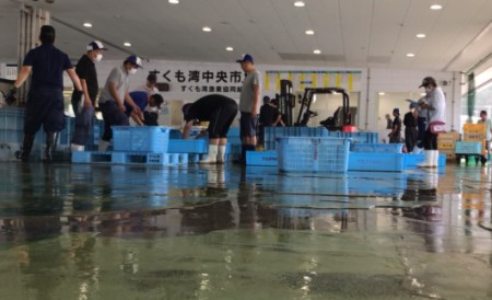 宿毛湾産 旬の地魚（3種）お造りセット（3～4人前）
