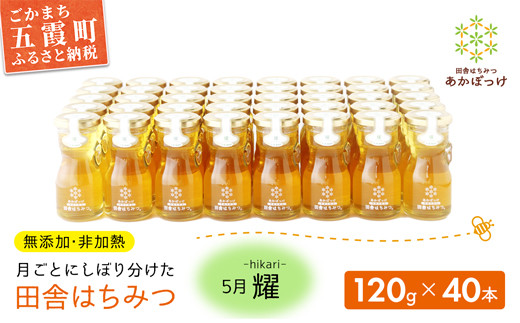 【五霞町限定５セット】季節で移ろう田舎はちみつ５月耀 120g×40本　イベントやプレゼントに。／ 生ハチミツ 非加熱 はちみつ 蜂蜜 季節 贈り物 プレゼント 贈答用 お土産 イベント 限定 茨城県産 五霞町