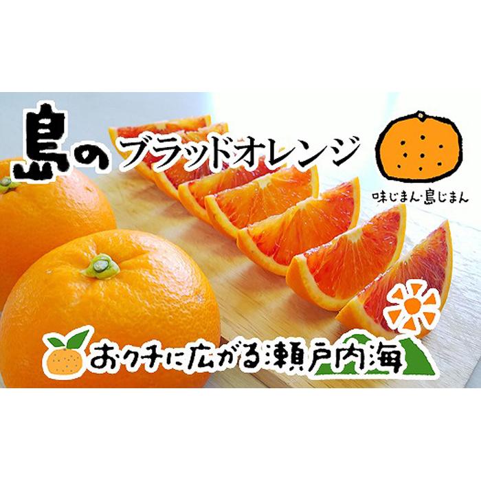 【4月上旬から発送】 ブラッドオレンジ（ タロッコ ） 3kg 愛媛 中島産 | 愛媛 みかん 先行予約 蜜柑 柑橘 果物 くだもの フルーツ お取り寄せ グルメ 期間限定 数量限定 人気 おすすめ 愛媛県 松山市