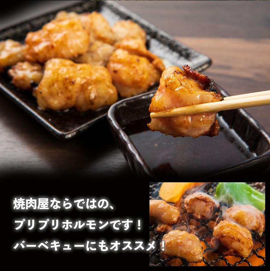 山樹の国産牛とろホルモン焼き（味付/タレ）　600g[047R17]_イメージ3