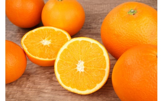 
            ネーブルオレンジ 約5kg サイズおまかせ アルギット 栽培 国産 甘い おいしい ジューシー 皮 薄い 完熟 期間限定 フルーツ 果物 人気 おすすめ 高級 こだわり ギフト 旬 山崎農園 和歌山
          