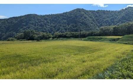 【新米】【在庫限定】令和7年産米 原田さんのきぬむすめ 10kg （原田農園）数量限定 新米