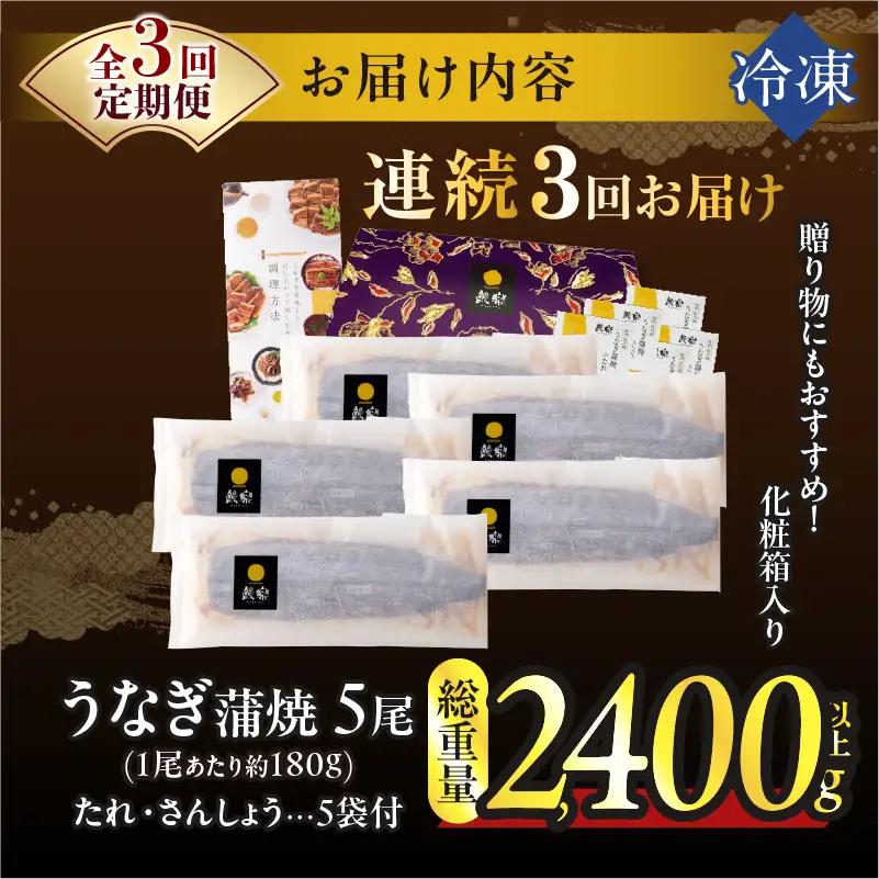 【3回連続定期便】うなぎ蒲焼5尾(さんしょう・たれ付き)総重量2400g以上 鰻 魚 魚介 加工品 国産_T026-0036-R