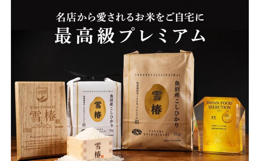 【令和8年産先行予約】 魚沼産コシヒカリ 雪椿 2kg×2袋 特別栽培米 化粧箱入り127527-023
