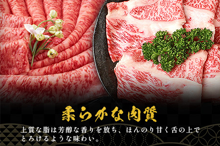【A5ランク】椎葉牛 すき焼き 2種 食べ比べ 肩ロース840g・牛もも840g 計1680g すき焼き しゃぶしゃぶ | ふるさと納税 すき焼き しゃぶしゃぶ 肉 牛肉 高級肉 黒毛和牛 国産 モモ