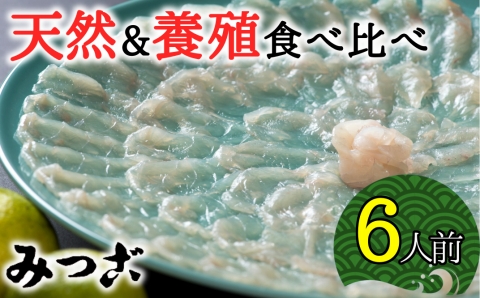 【年中発送可】贅沢な食べ比べ！天然＆養殖トラフグ刺しふぐ鍋セット（計6人前）［冷蔵］［養殖＆天然トラフグ各1セット］割烹みつご