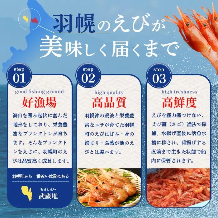 超速リキッド凍結でドリップゼロ！北海道羽幌産生鮮ぼたんえび 600g（200g×3パック）【0311801】