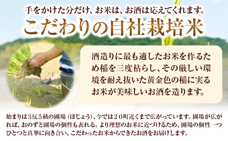 賀茂緑 上撰パック 清酒 2000ml × 6本《30日以内に出荷予定(土日祝除く)》丸本酒造株式会社 岡山県 浅口市 熱燗 冷酒 酒 送料無料