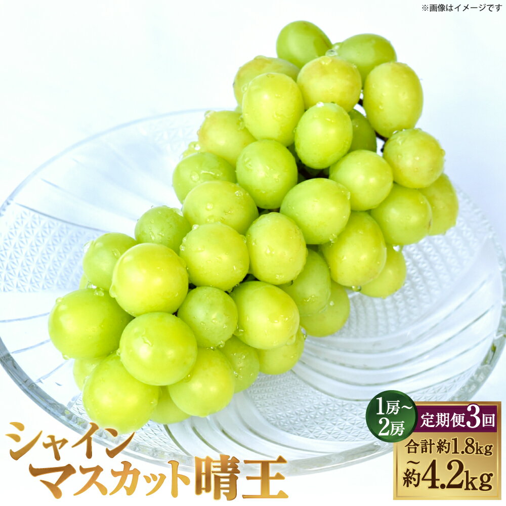 【ふるさと納税】＜選べる内容量＞[HS]【3回定期便】温室・露地 シャインマスカット 晴王 1回あたり1房 / 2房 約600g / 約700g / 計約1.2kg / 計約1.4kg ぶどう ブドウ 葡萄 フルーツ くだもの 果物 冷蔵 国産 岡山県産 倉敷市 送料無料 【2026年7月上旬～9月下旬発送予定】