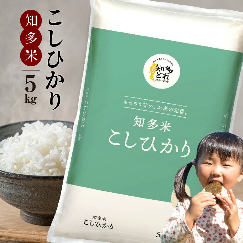 【ふるさと納税】知多米 こしひかり 【 5kg 】 米 白米 精米 コシヒカリ うるち米 秋 旬 お米 人気返礼品 国産 ブランド米 和食 新米 厳選 愛知県産 送料無料