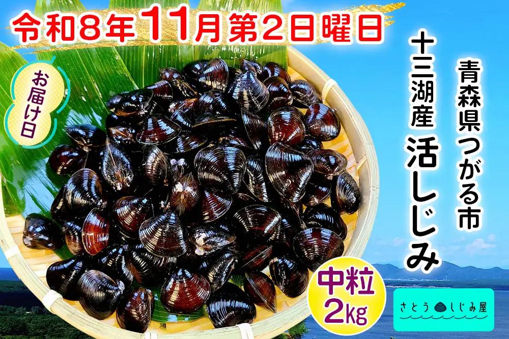 [令和8年11月第2日曜日配達] さとうしじみ屋の十三湖産活しじみ(中粒2kg)[冷蔵] [0804]
