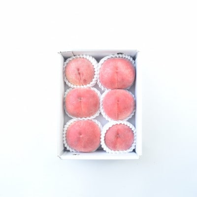 【発送月固定定期便】採りたて!フルーツ定期便全6回【配送不可地域：離島・沖縄県】