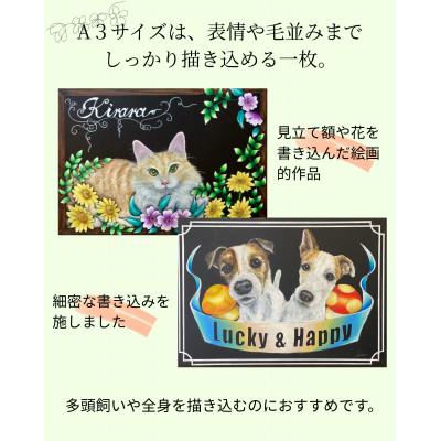 ふるさと納税 王寺町 手描き・オイルパステルで描く「オーダーメイド・ペット肖像画」A3サイズ |  | 02