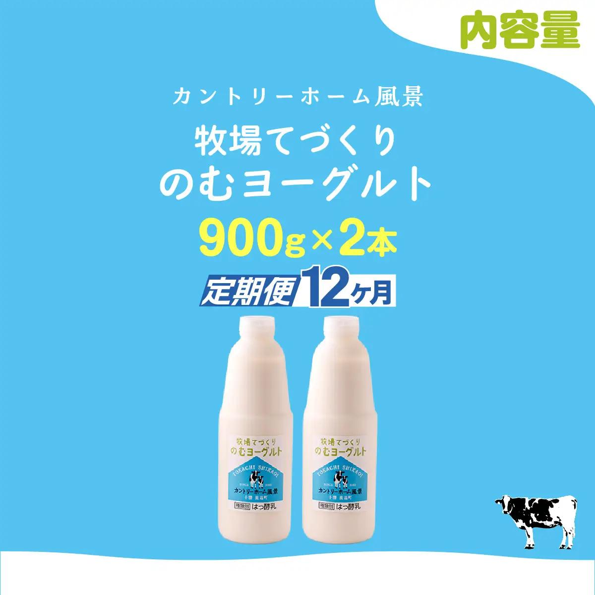 【定期12ヶ月】のむヨーグルト 900g ×2 SKB034