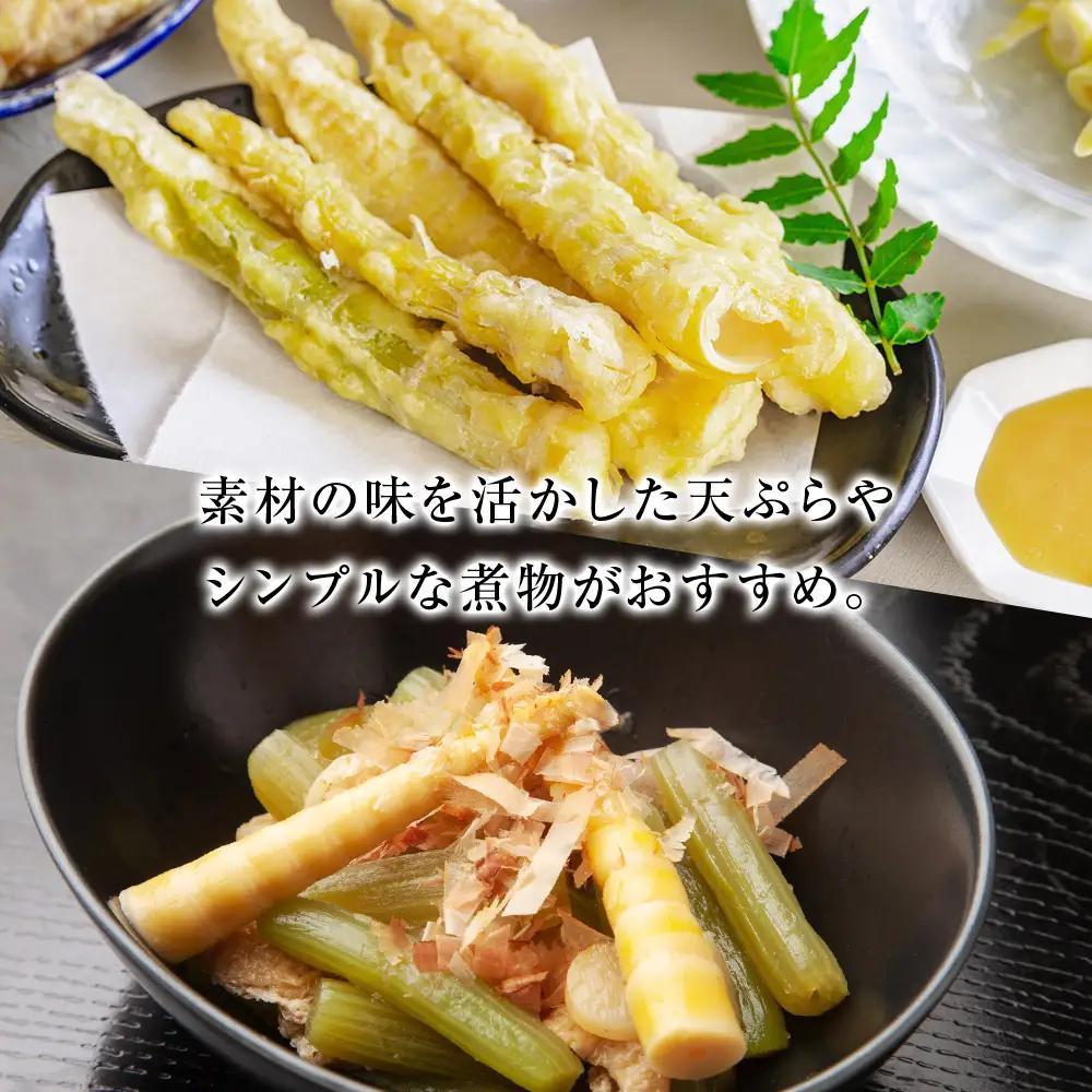 【2027年発送予約】天然 根曲がり竹 2kg 根曲竹 ネマガリタケ 姫竹 笹竹