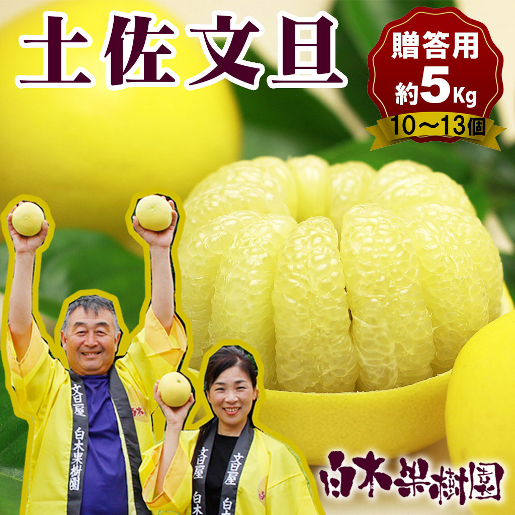 
                  【先行予約】【果樹園直送】土佐文旦 特選品贈答用 約5kg L～2Lサイズ 10～13個入り〈2027年2月中旬～3月下旬頃発送〉  /  ぶんたん ブンタン フルーツ 柑橘 みかん 果物 くだもの 柑橘類 デザート おやつ【白木果樹園】 [BQAI006]
                