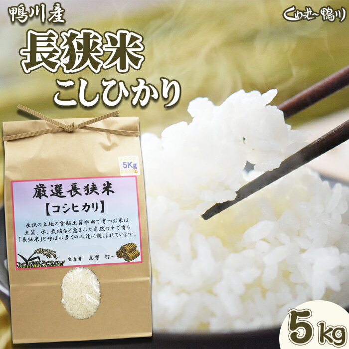 【ふるさと納税】《令和7年産 新米》【くわっせ～鴨川】鴨川産 厳選『長狭米こしひかり』5kg《精米》　[0019-0009]