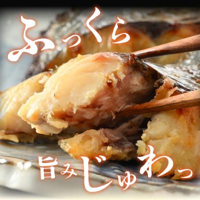 ふるさと納税 小浜市 【2ヵ月毎定期便】塩干し、醤油干し、味噌漬けされた干物詰め合わせ全6回 |  | 03