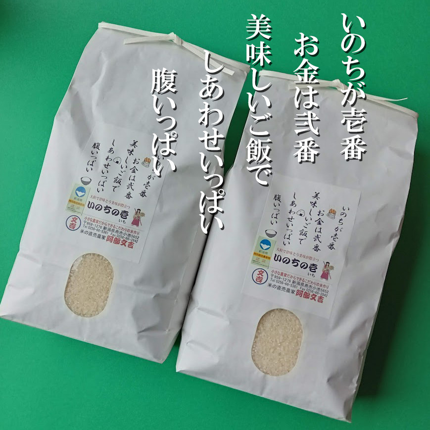 
            【令和7年産米予約受付中】大粒で甘味とうま味が際立つ「いのちの壱」白米10kg FC033018
          