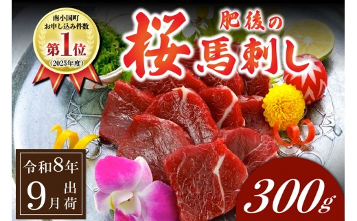 〈令和8年9月出荷〉肥後の桜馬刺し 上赤身 300g