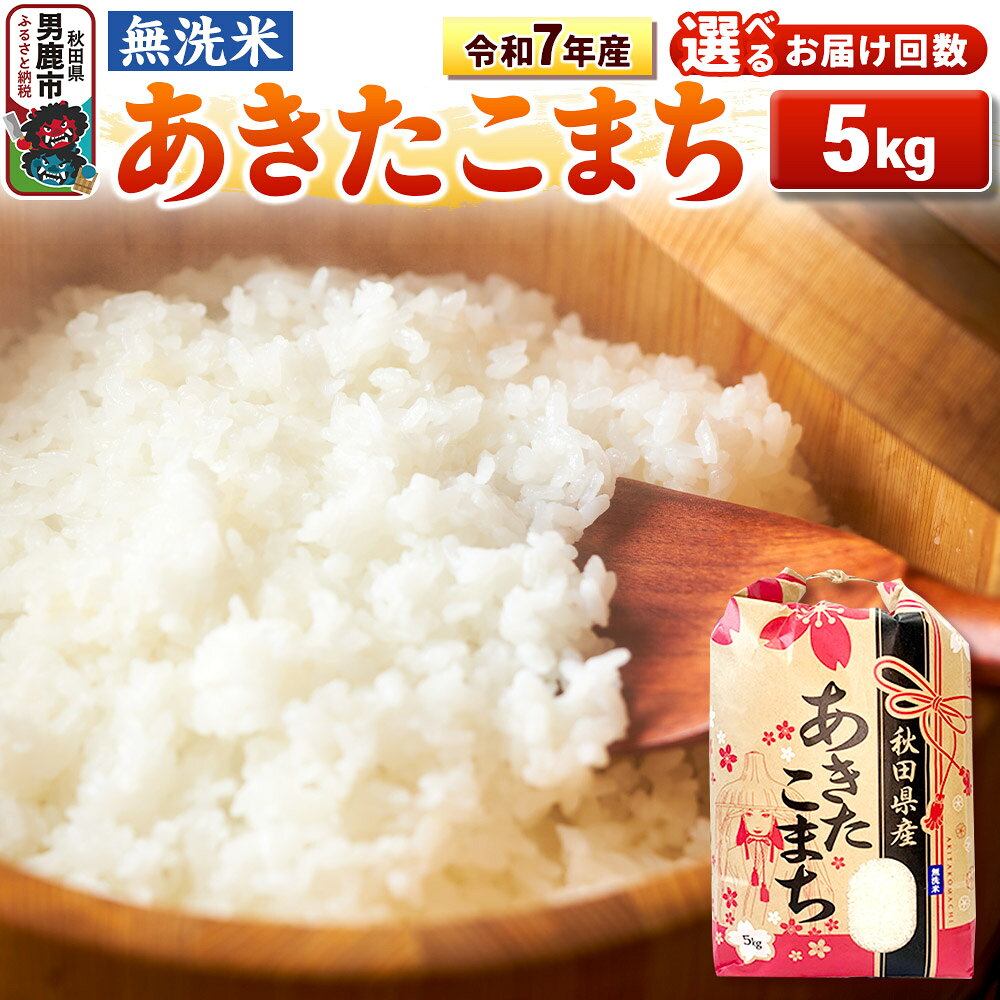 【ふるさと納税】《令和7年産》【無洗米】あきたこまち 5kg 秋田県 男鹿市 こまちライン【選べるお届け回数】