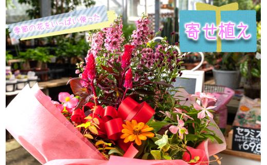 季節の花をいっぱい使った寄せ植え  花 静岡 沼津 母の日 父の日