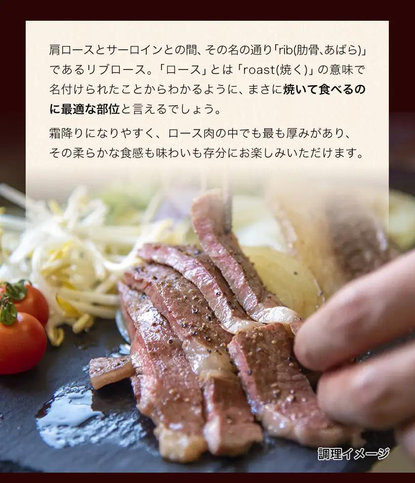 あか牛（褐色和種）ロースステーキ (リブまたはサーロイン) 250g×2 500g 熊本県産 肉 和牛 牛肉 赤牛 あかうし リブロース サーロイン 冷凍 《30日以内に出荷予定(土日祝除く)》