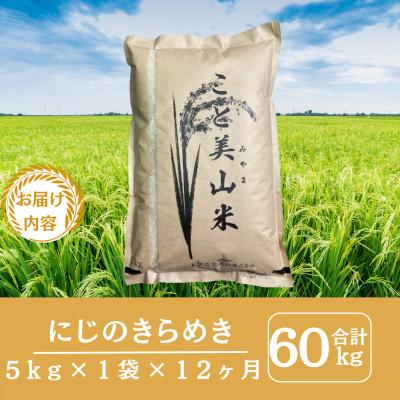 ふるさと納税 南丹市 【毎月定期便】にじのきらめき 精米 5kg(5kg×1袋)美山町産 こと美山米全12回 |  | 01