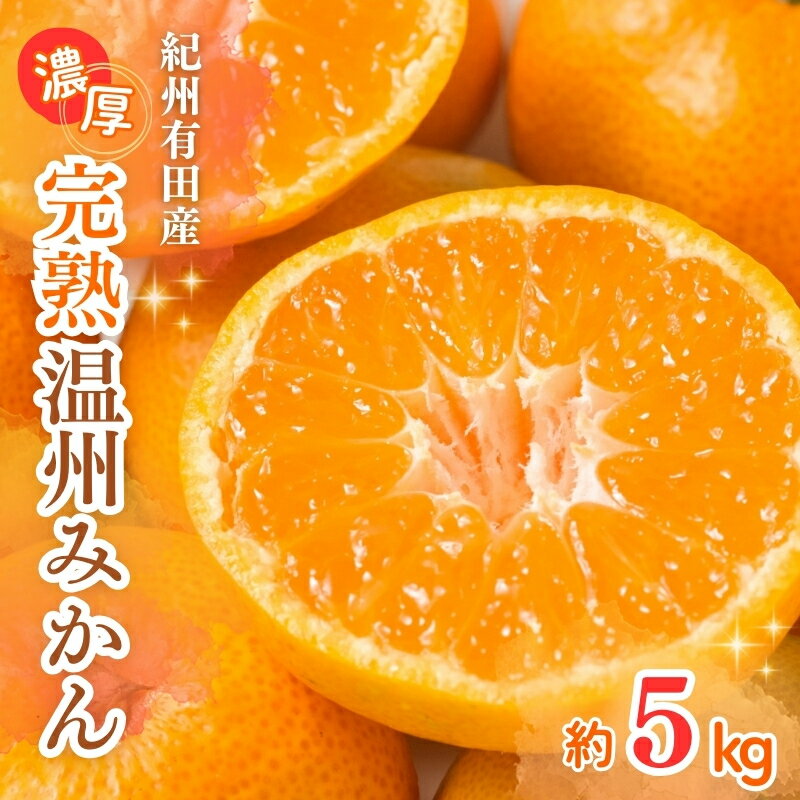 【ふるさと納税】 【先行予約】紀州有田産 濃厚完熟 温州みかん 5kg ※2026年11月下旬頃〜2027年1月下旬頃に順次発送予定 / みかん ミカン 蜜柑 温州みかん 柑橘 フルーツ 果物 くだもの 和歌山