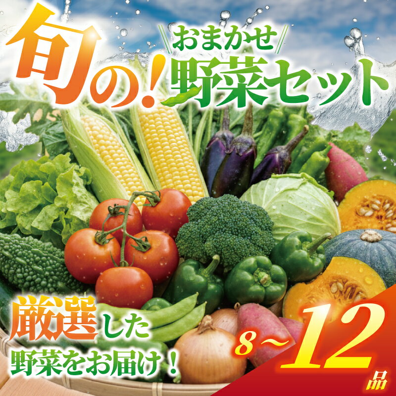 【ふるさと納税】 野菜 セット 8 〜 12品 旬 の 湘南野菜 おまかせ セット お任せ 詰め合わせ 野菜セット やさい やさいセット yasai きゅうり トマト なす ねぎ さといも 小松菜 白菜 玉ねぎ ヤサイ 旬の野菜セット 新鮮 数量限定 亀井農園 神奈川 湘南 藤沢