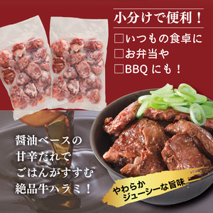 【訳あり】 牛ハラミ 肉 牛肉 牛 味付け 600g 300g×2パック （ タレ漬け牛ハラミ 小分け牛ハラミ 味付き牛ハラミ 美味しい牛ハラミ 冷凍牛ハラミ）
