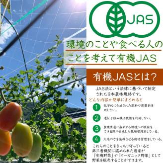 ＜京都・矢田の里＞産地直送！旬の有機ＪＡＳ認定 京野菜・農家のこだわり野菜・新鮮卵など 直売所 お楽しみセット≪オーガニック野菜 栽培期間中農薬・化学肥料不使用≫