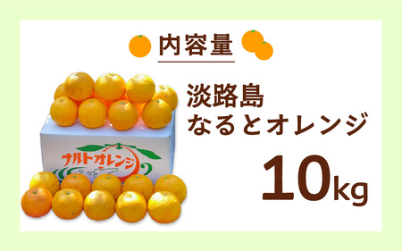 【先行予約】 【数量限定】 淡路島なるとオレンジ 10kg 若宮ミカン農園【2025年4月より順次発送】 / みかん オレンジ フルーツ ミカン 果物 果実 青果 兵庫県 淡路島 洲本市産 農園 農家