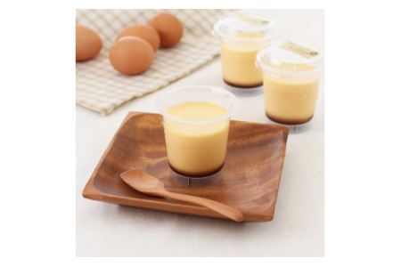 本格コクマロプリン10個入り(B403-2）