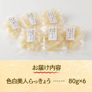 食べきりサイズ 色白美人らっきょう 国産無添加 80g×6袋　ラッキョウ 食べきりサイズ 480g おつまみ ご飯のおとも お酒のお供 野菜 旬 漬物 つけもの お漬物 常温保存 山梨県 北杜市 [h