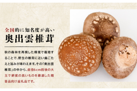 「奥出雲椎茸」プレミアム贈答品【椎茸 生しいたけ 1kg 収穫直後 サイズ混合 新鮮 旨味たっぷり 菌床栽培 国産 きのこ キノコ 野菜 料理 食品 産地直送 自宅用】