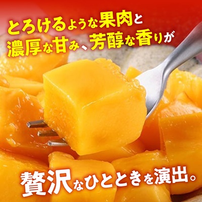 【2026年7月から順次発送・最高級ランク極】燦々マンゴー1.8kg(4玉)【配送不可地域：離島】