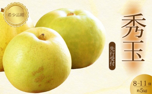 
                  【先行受付】希少品種！秀玉 梨 5kg 2026年9月中旬発送予定 果物 くだもの フルーツ なし 202017
                