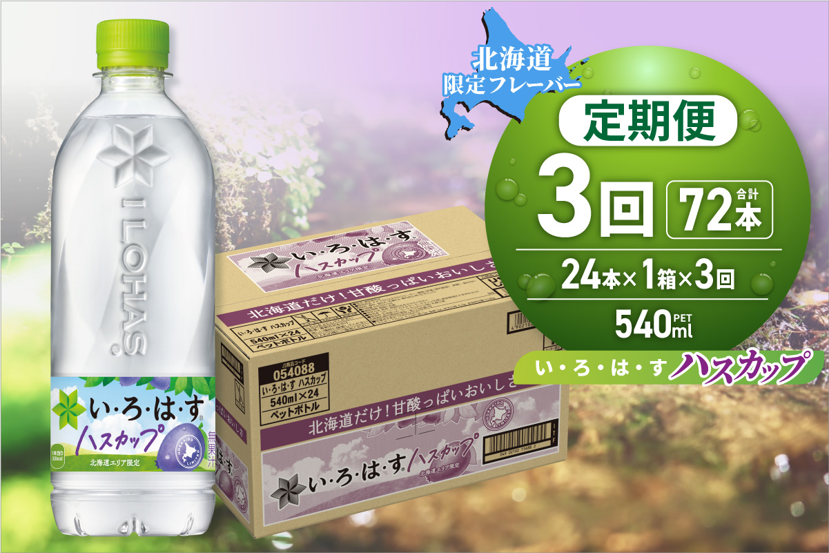 【３ヶ月定期便】い・ろ・は・す ハスカップ　540mlPET×24本｜コカ・コーラ 飲料 ドリンク 飲み物 水 北海道 札幌市