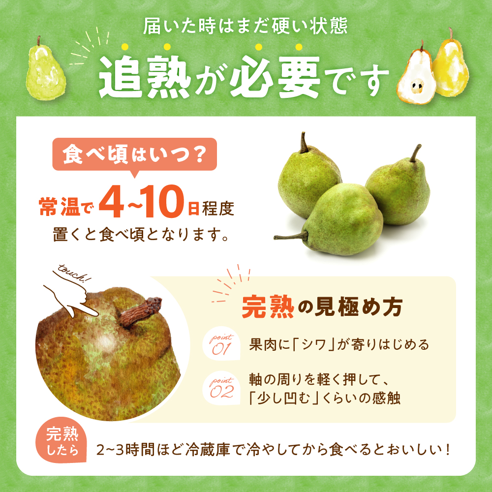 【2026年産】 ラ・フランス 3kg（6-13玉） 秀品 山形県 東根市 千笑花夢提供 hi082-021-r8 3kg（6-13玉）