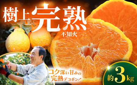 まもなく終了 デコポン 不知火 3kg ＜原口果樹園＞ CCW005 デコポン みかん