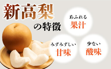 【2026年10月-発送】【あなたを満たす梨の王様】新高梨 約3kg 特大級 梨専門 八木農園 / 梨 なし ナシ / 南島原市 / 贅沢宝庫 [SDZ031]
