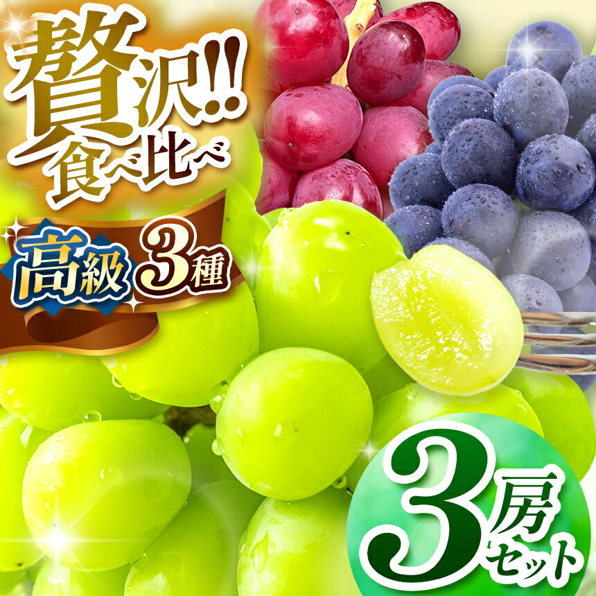 【ふるさと納税】【2026年先行予約】 シャインマスカット・ナガノパープル・クイーンルージュ® 3房セット 【9月中旬以降発送予定】 | 果物 くだもの フルーツ 葡萄 ぶどう ブドウ ナガノ パープル クイーンルージュ® シャイン マスカット 長野県 塩尻市