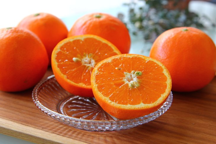 【ふるさと納税】【限定】 【先行予約】主井農園 セミノール 【訳あり 家庭用】 7kg【ミカン 蜜柑 春みかん 柑橘 オレンジ】