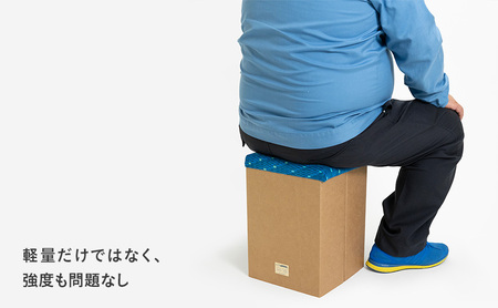 N700系typeA 東海道新幹線 mCB モケットスツール _No.1701377 雑貨 インテリア 日本製スツール 強化ダンボール採用 寝室 リビング 書斎 エコ アップサイクル 再利用 リサイク