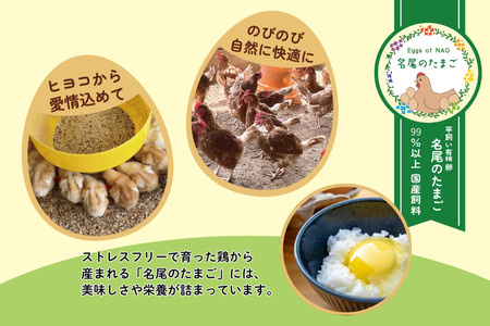 【定期便24回】国産飼料の平飼い有精卵「名尾のたまご」20個入 たまご 卵 玉子 タマゴ 生卵 新鮮：C210-003