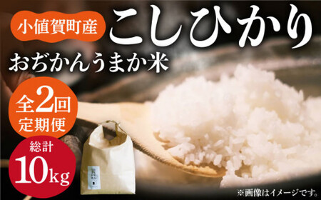 【2回定期便】 小値賀町産 こしひかり 10kg (5kg×2回) おぢかんうまか 米 白米 【しまうま商会】[DAB038]/ 長崎 お米 こめ 精米 コシヒカリ 5キロ 定期便