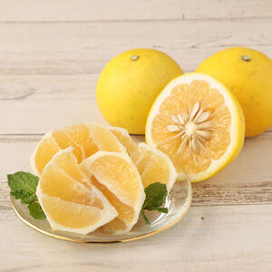 月ヶ丘果樹園の訳あり小夏５kg　家庭用柑橘 日向夏 みかん フルーツ 先行予約 特産果物【R00177】