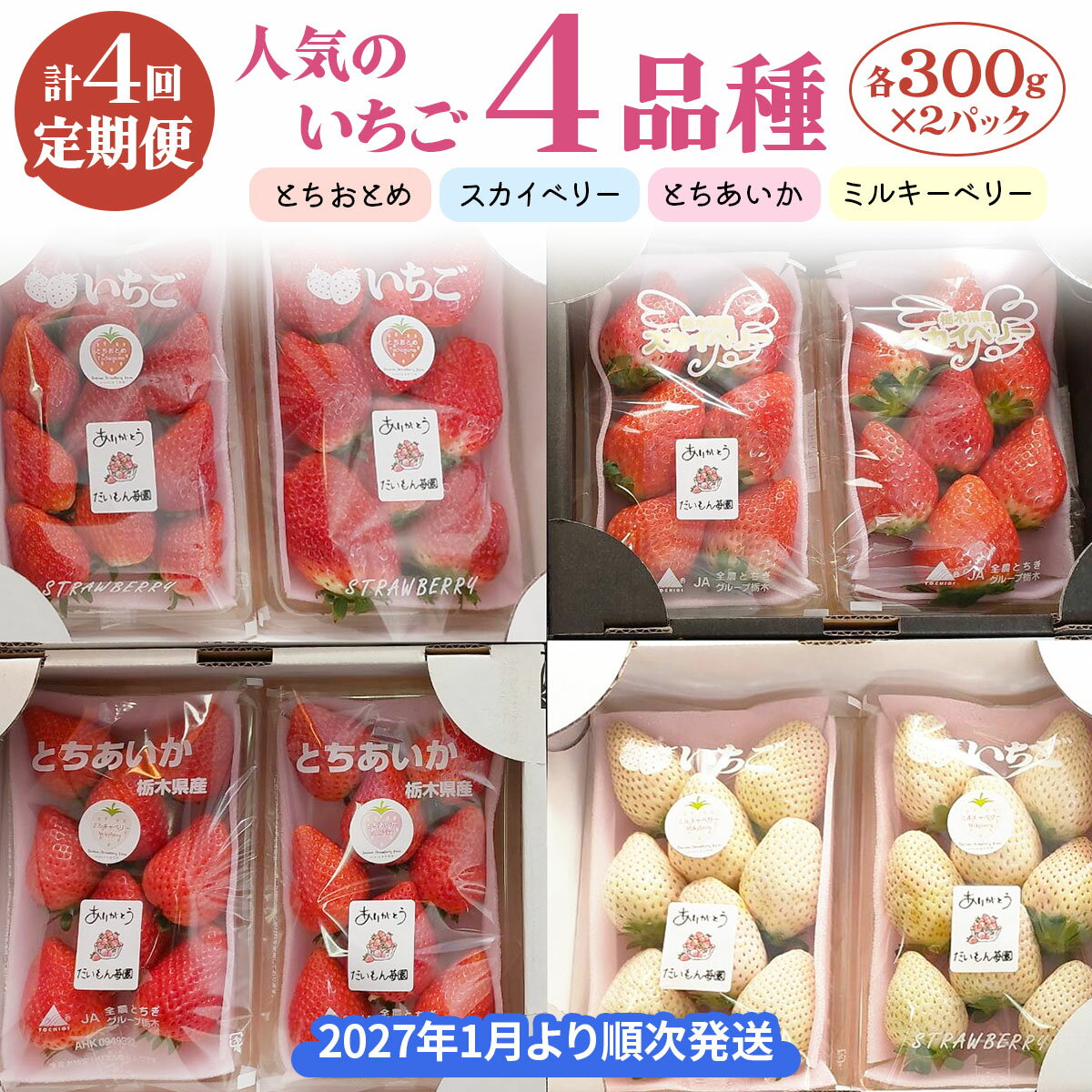 【ふるさと納税】【4ヶ月連続定期便／計4回】 人気のいちご4品種【2027年1月より順次発送】｜とちおとめ スカイベリー とちあいか、ミルキーベリー いちご イチゴ 苺 フルーツ 果実 スイーツ 日光市産 栃木県産 産地直送 [0963]